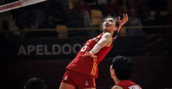 APP下载-斯图加特遗憾出局中国女排怒砍35分，斯图加特清晨扳平良机都惊呆了的简单介绍